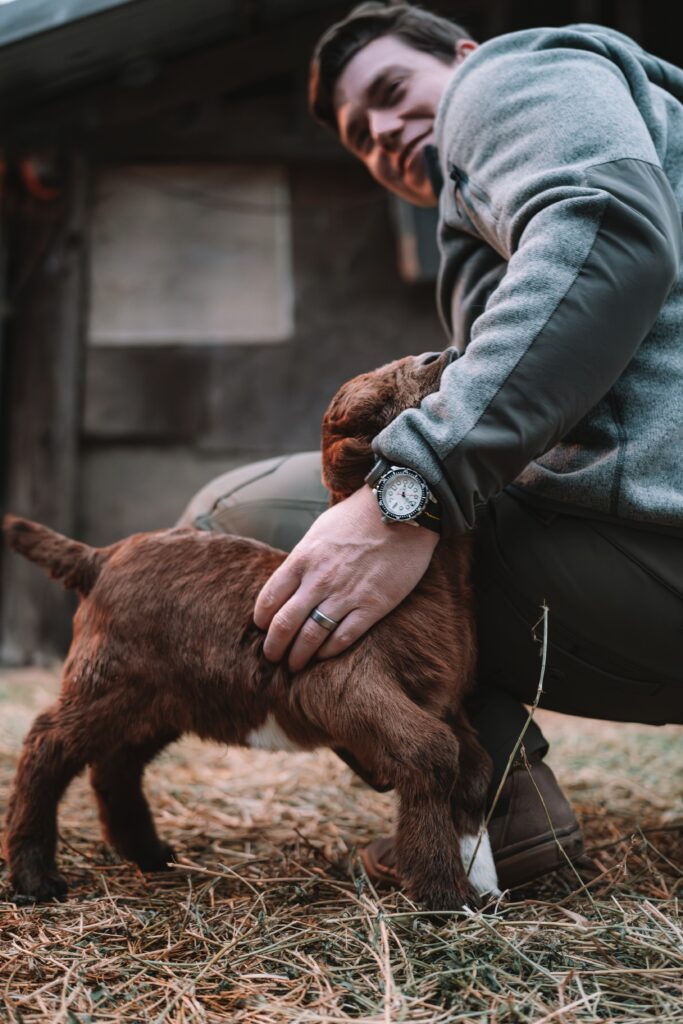 DSC05009-Enhanced-NR